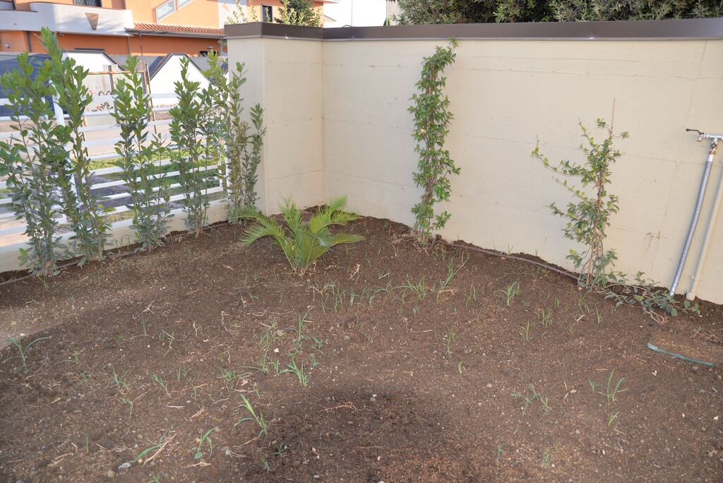 Progetto Felippe - Esterni img13